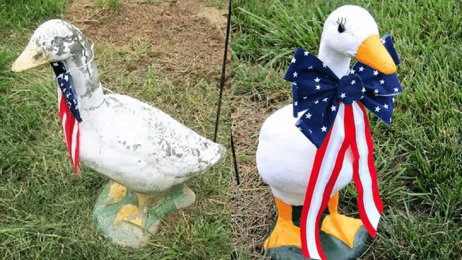 goose makeover